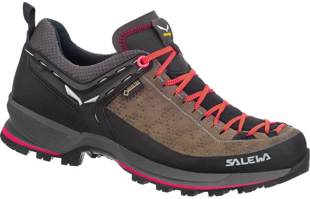 Salewa MTN Trainer 2 GTX