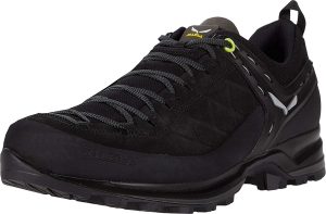 Salewa Mtn Trainer 2